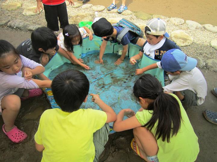 捕獲した生き物を放したビニールに集まる子どもたち