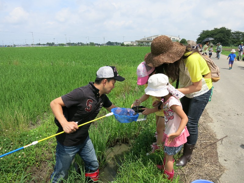 親子で夢中になって生きものをさがしました