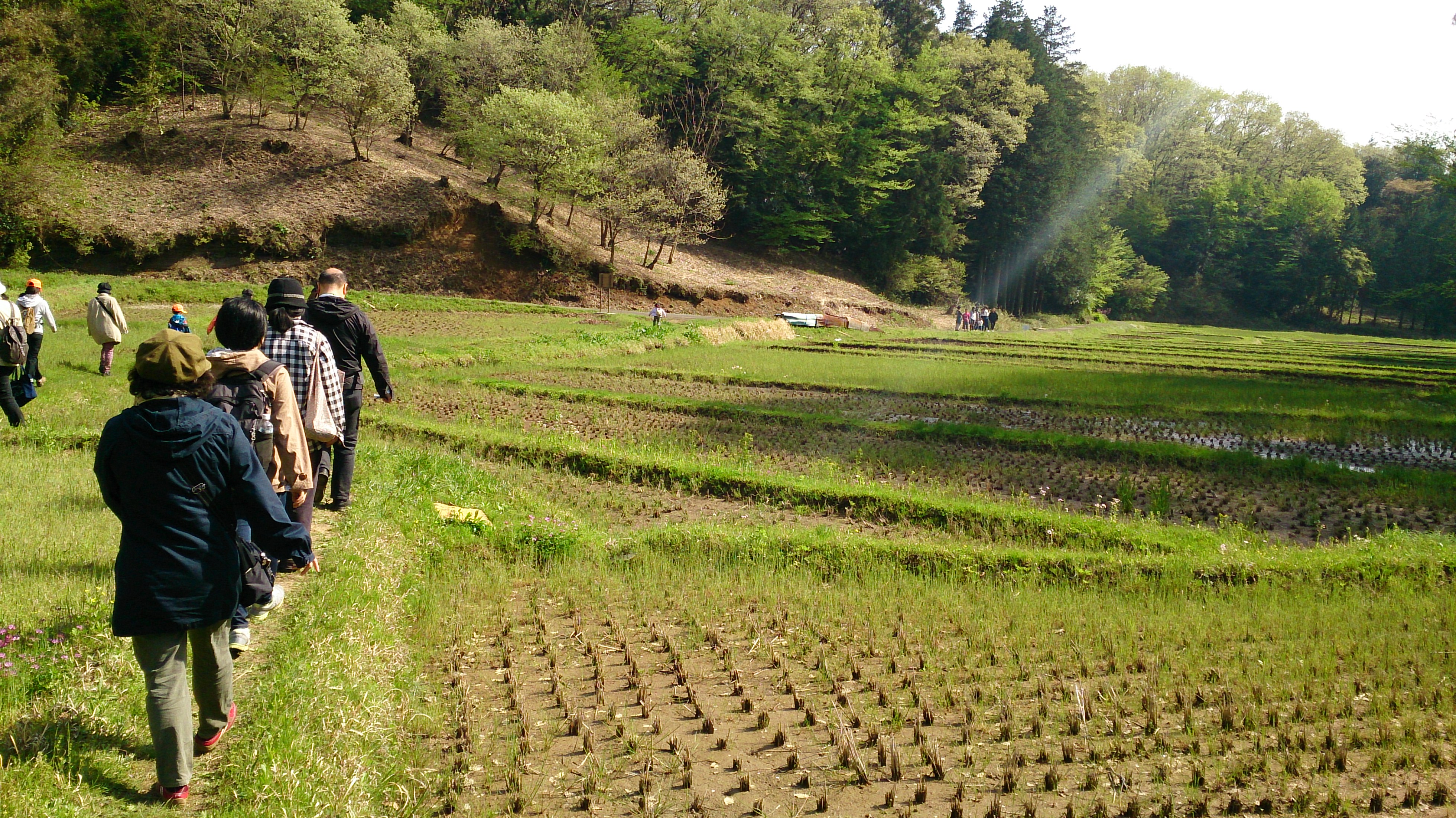 整えられた保全地域を歩きました