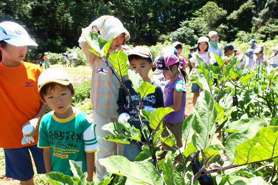 野菜畑で観察している様子