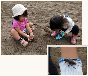 泥遊びと虫の写真