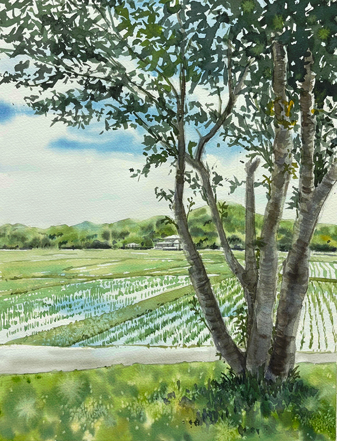 講座のイメージ