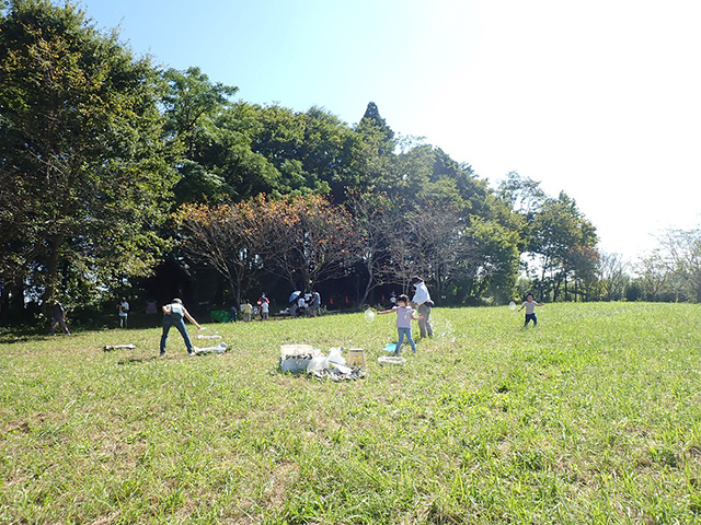 はらっぱの写真