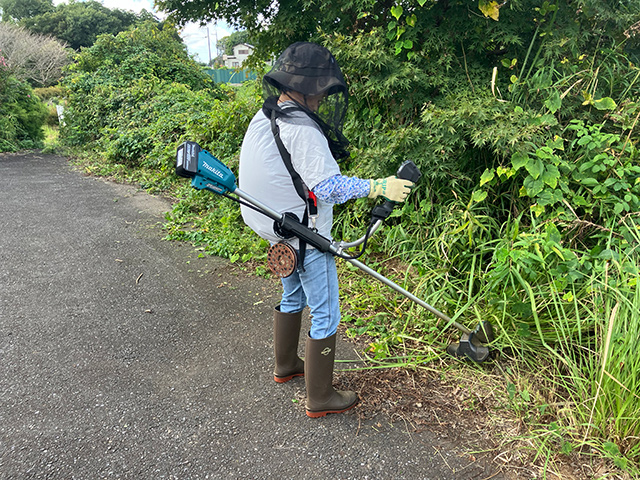 草刈りの様子