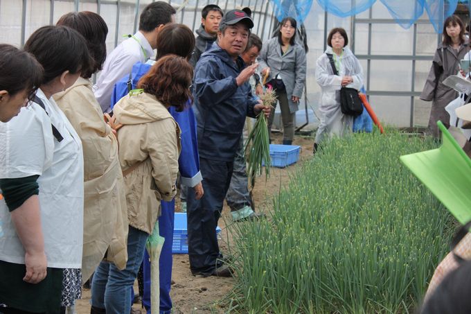 生産者の吉岡さんから深谷ねぎの栽培や作業についてお聞きしました