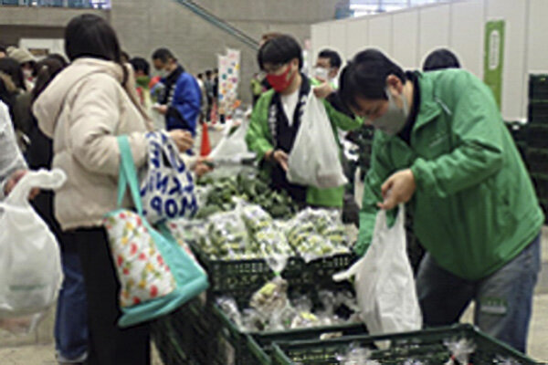 千葉県産の産直野菜の販売