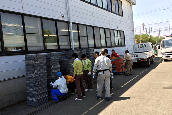 菊陽中学校の体育館で支援物資の仕分け作業をしている様子