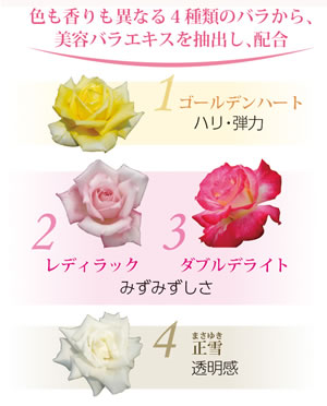 色も香りも異なる4種類のバラから、美容バラエキスを抽出し、配合