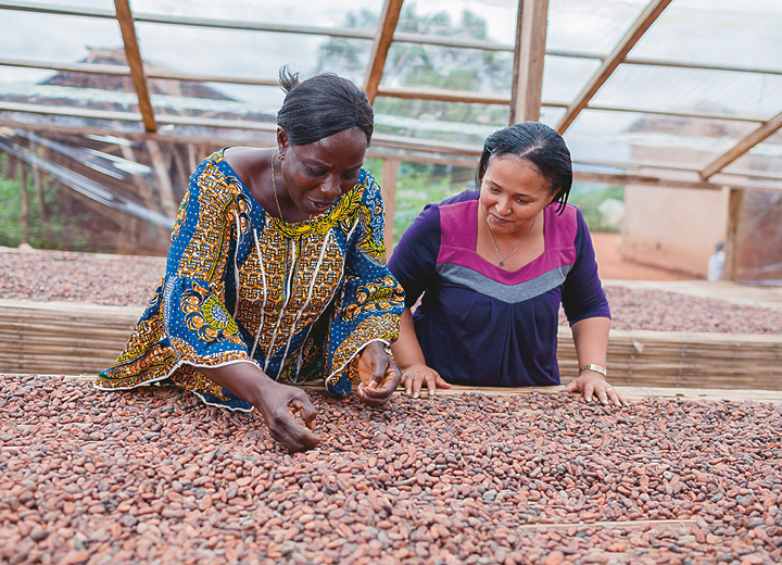カカオ豆を乾燥させる生産者の写真